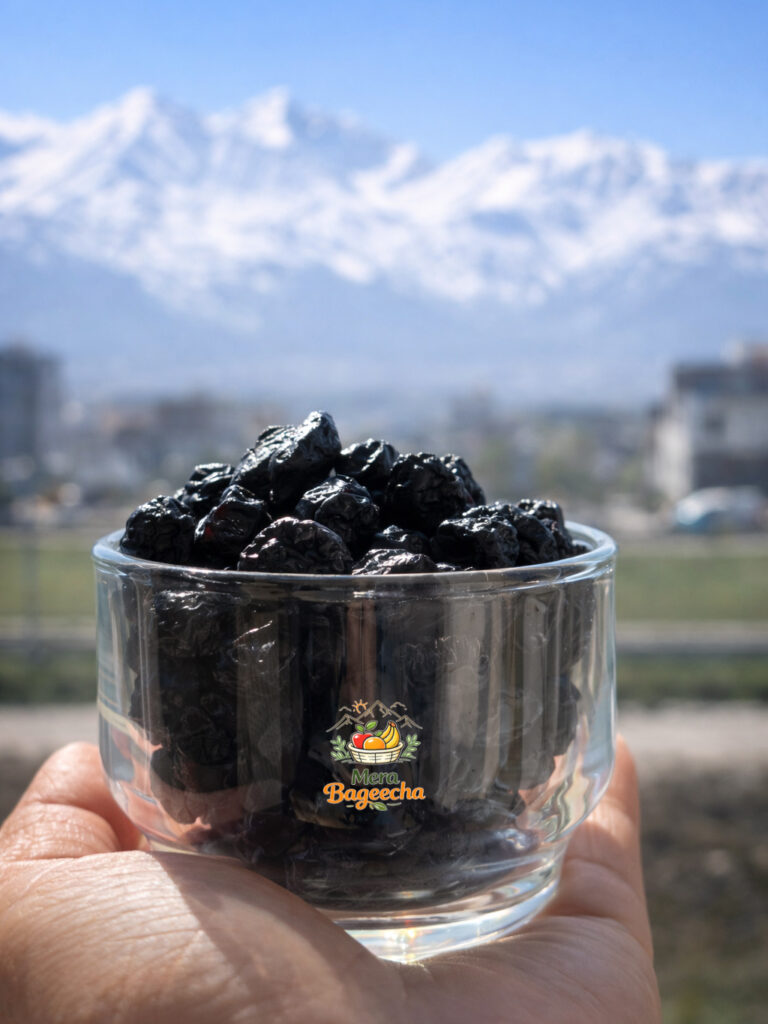 Himalayan Dried Blueberries